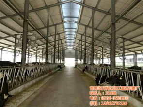 青州市開(kāi)發(fā)區(qū)潤(rùn)江溫控設(shè)備廠 一站式畜牧環(huán)境溫控解決方案專家
